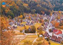 [HCM] Tour Nhật Bản Mùa Thu 6N5Đ: Cung Đường Làng Cổ Shirakawa-go